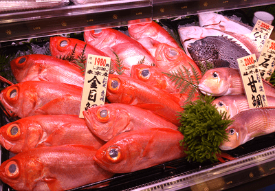 UTf5ypbPJSX5wTQbevCp.png?w=940&h=940