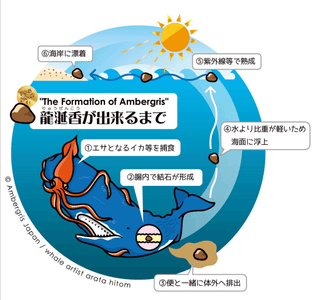 UUb2yHemb94WNYLP7Lps.png?w=940&h=940