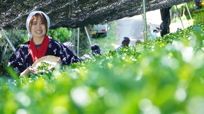 UWX6l5WSwUWlLtmX05Bw.jpg?w=940&h=940