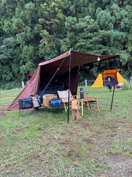 蚊帳を入れた。Color：ダークブラウン