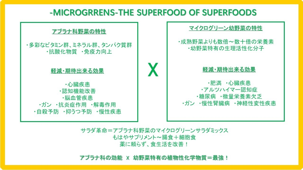 アブラナ科野菜と幼野菜効能