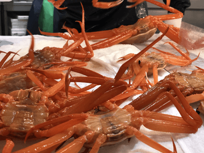 UXTRumm5RbWigtbXJqA1.png?w=940&h=940