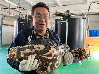 モンゴルで養殖開始から3年で８㌔にまで成長した交雑ハタを抱える岡山理科大学の山本俊政准教授＝2022年9月撮影