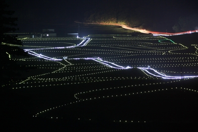 UZ1bIQO0mdoi0NncBhA5.jpg?w=940&h=940