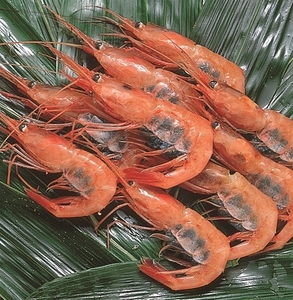 UZFQPbswqg9SSyAEYj0e.jpg?w=940&h=940