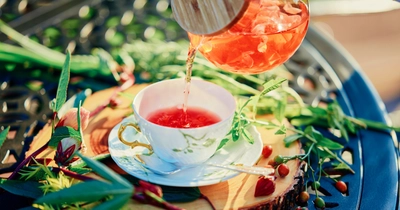 兵庫・淡路島「Auberge フレンチの森」雨音さえも贅沢なひと時に変わる宿泊を『梅雨の宿泊プラン＆Instagramキャンペーン』6月1日より開始！