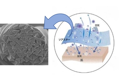 ＜メッシュ素材（ソアスター®）＞ Y字型の断面と吸水速乾のイメージ 、「ソアスター®」はKBセーレン株式会社の登録商標です。