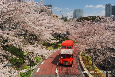 【毎年満員御礼！春限定?】混雑知らずの絶景お花見×春の特別アフタヌーンティー！