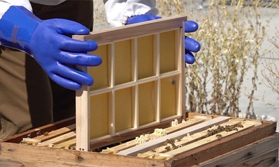 UbaIaWWYrzb1VdCcSHJY.jpg?w=940&h=940