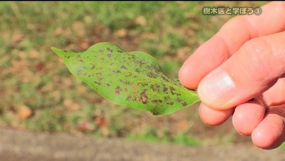 Ubl4EQAobKomnFKiYH5H.jpg?w=940&h=940