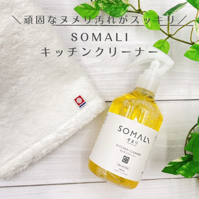 SOMALI ハウスクリーナー