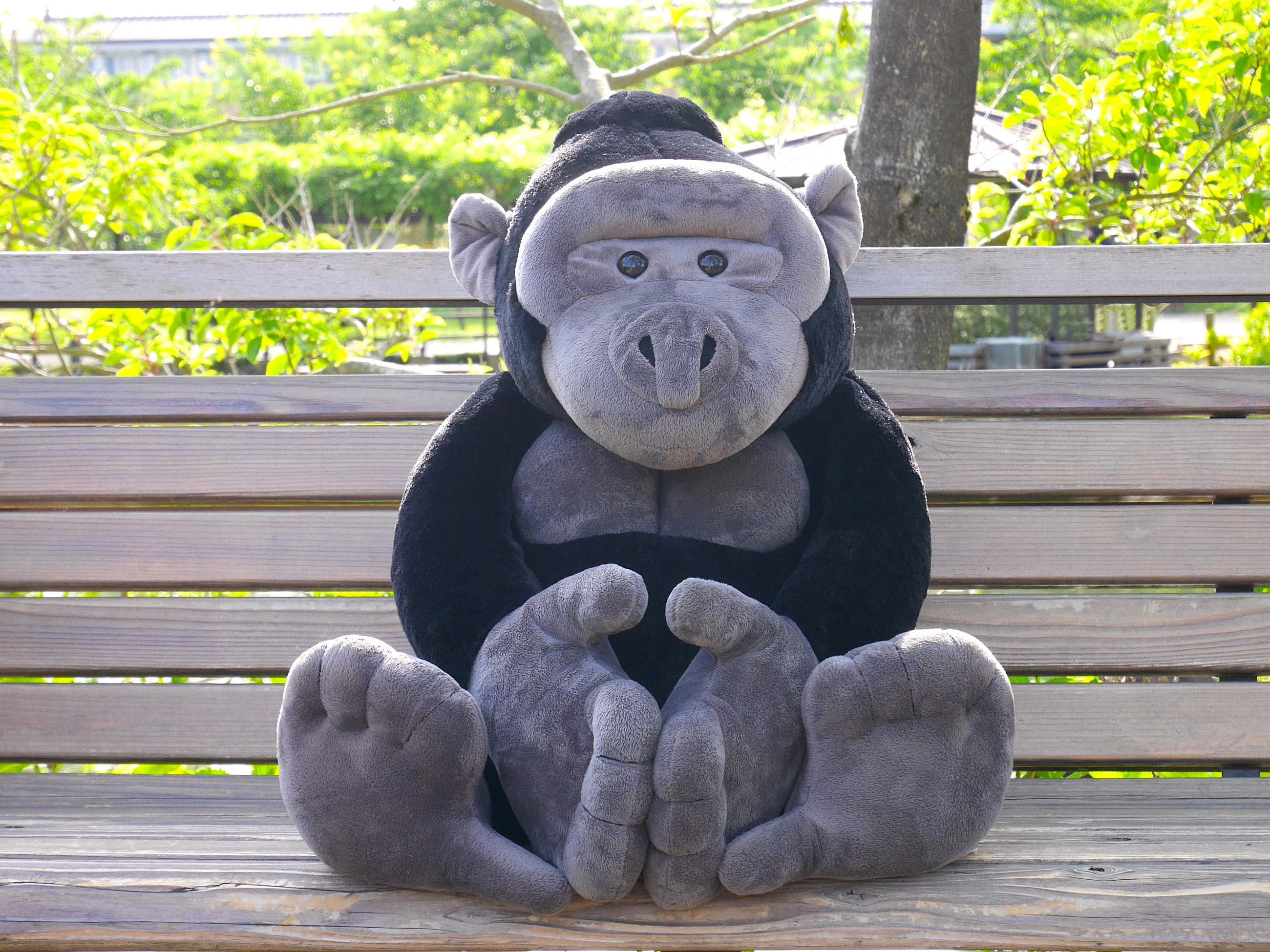すべてのゴリラファンにおすすめしたい! 京都市動物園エントランスショップ「ゴリランド」が、京都市動物園120周年記念オリジナルグッズ「特大リアルニシゴリラぬいぐるみ」を受注販売!