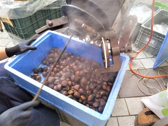 今週末12/19(土)アークカラヤン広場でマルシェ開催!小布施の焼き栗が焼き立て!甘くてホクホク・・他にもシャインマスカットや信州のリンゴ、農家さん直売の新鮮野菜、スロベニアやキルギス・アラブなど珍しい海外の食材も