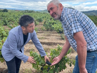 11月16日(木)ボジョレー・ヌーヴォー解禁　 20年来の良作！円安でも価格もダウン　予約状況好調！