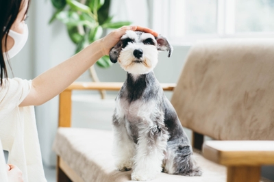 UgFxBmIoyG77Eh5tUEmv.jpg?w=940&h=940