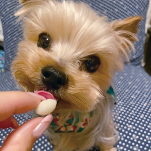 Ugk62vEMei0kDguvdeGj.jpg?w=940&h=940