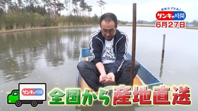 UiNJIl6eoasQYmMDnBpY.jpg?w=940&h=940