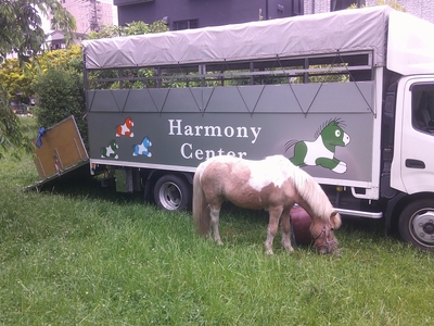 UihxMqlWqO6nOQbmpiDG.JPG?w=940&h=940