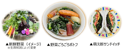 Uii5V6a48NuRlOctvIrl.png?w=940&h=940