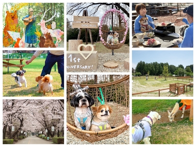 UjNprIT8zZHW6PHK7h6f.jpeg?w=940&h=940