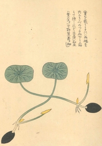 Uk2aC45I7DXYcz2KJ5gE.jpg?w=940&h=940