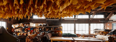 Uk3cC7MkKdJeiIJCepuA.png?w=940&h=940