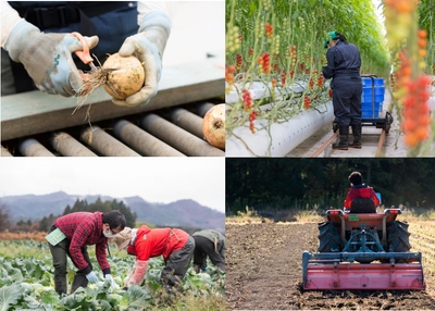 UkMh1vQCXeGJGzIuSerK.jpg?w=940&h=940