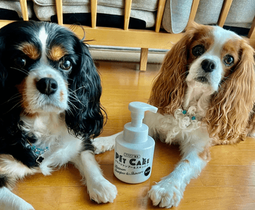 UknEgOCDjdLI17JQ66zH.png?w=940&h=940