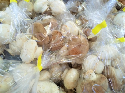 Ulqnlg337yxgXx6xz3HH.jpg?w=940&h=940