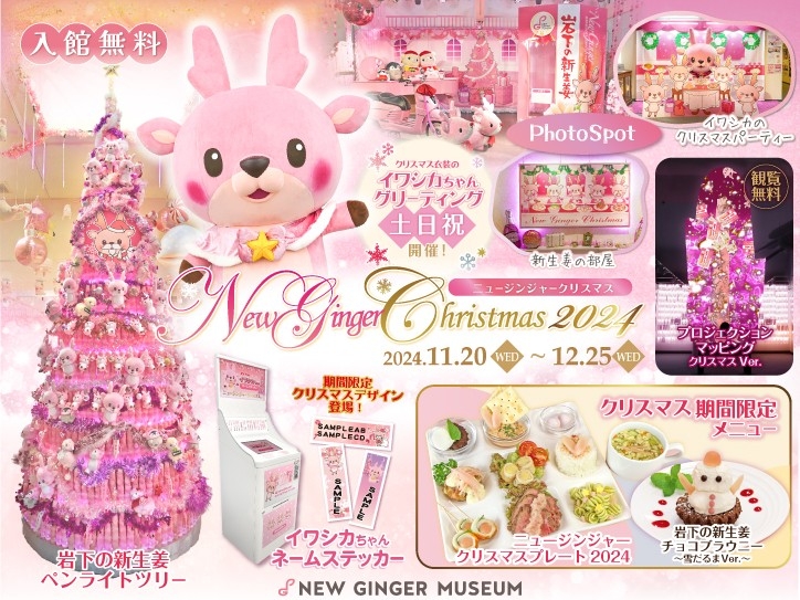 未使用◆レア物◆TOMY◆はなうたの民クリスマスタイプ◆ピンクバージョン UmjnD9yeCM5LdIwasElI.jpg