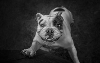 Un5lmS4tVPPbrNGVKWJ3.jpeg?w=940&h=940