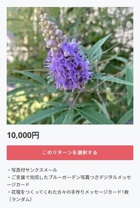 UoFBHH2PyltcHHIOXMYz.jpg?w=940&h=940