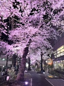 Uoh9HyDEglllQ7uaQUav.jpg?w=940&h=940