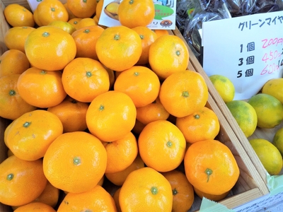 Upuh6r9NSTjZQ1OTo14U.jpg?w=940&h=940