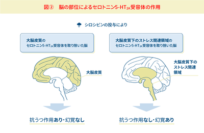 UqJQHbY4FYv8mLKuP7IT.png?w=940&h=940