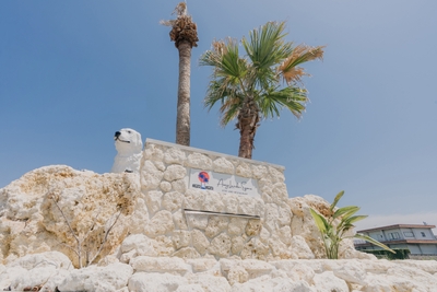 UrEUeKcw9A8KDUvqHKQW.JPG?w=940&h=940