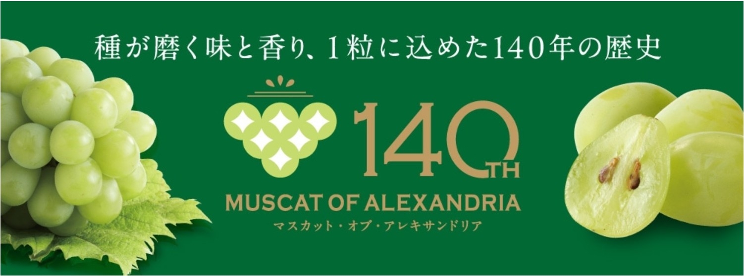 岡山県が誇る“ぶどうの女王”が節目の年
栽培140周年「マスカット・オブ・アレキサンドリア」特集
