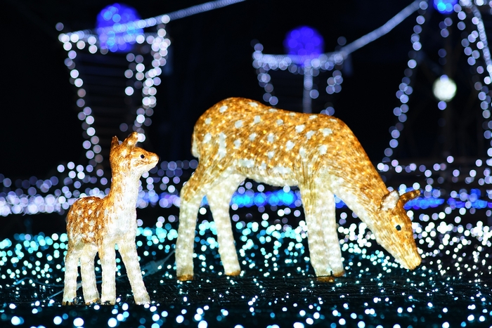 しあわせ回廊~なら瑠璃絵~