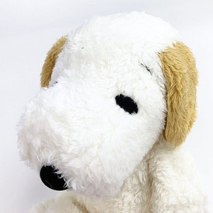 UsI4iwUh3a4nlAHYR5v8.jpg?w=940&h=940