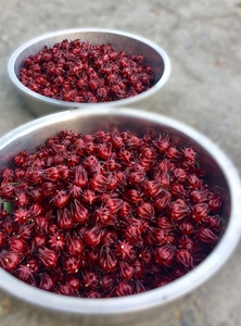 UsK6iyRJT1UhF72ZyMiM.jpg?w=940&h=940