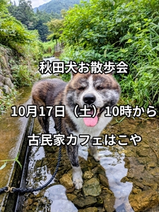 UtB9g1hYBqdiKBXzugNa.jpg?w=940&h=940