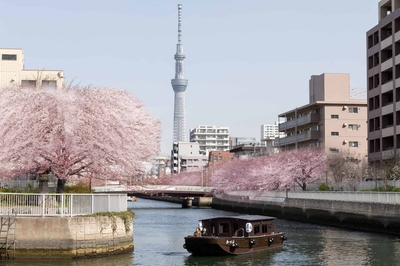 UtJzLrZqDTDNljvKZELV.jpg?w=940&h=940