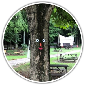 UtMUiHClYCBypuoJWDp5.jpg?w=940&h=940