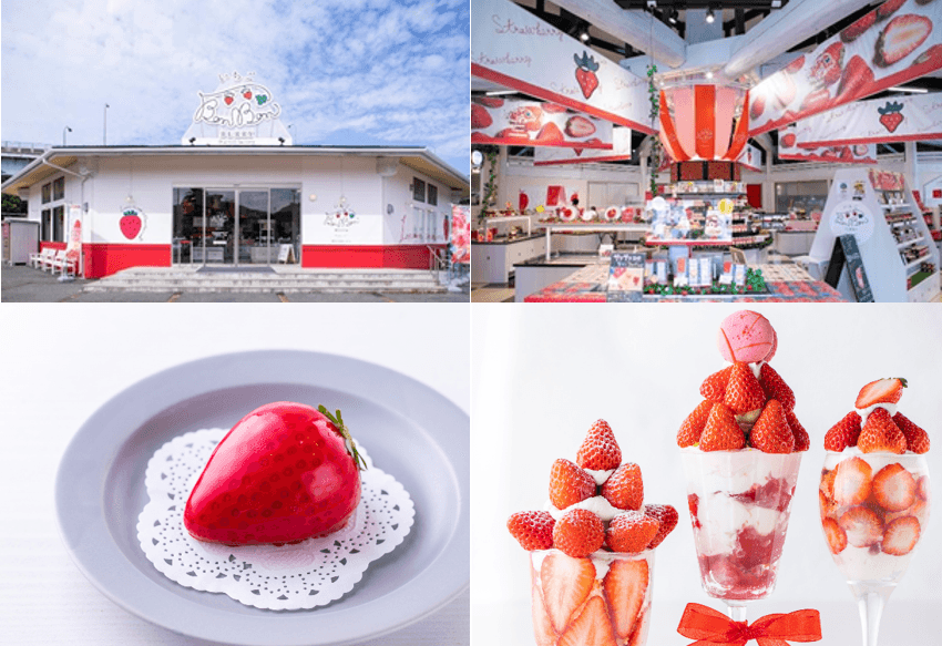 道の駅伊豆のへそ いちごBonBonBERRY 伊豆の国factory