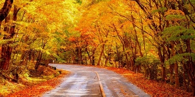 Uut8AA4q6txqiA75vd6Q.jpg?w=940&h=940