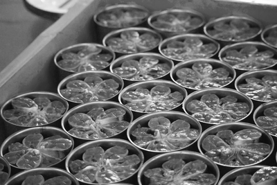 UvxYtDbOtAE4U8shN8Qm.jpg?w=940&h=940