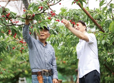 UxCJ8R3XfBRRdk4y4LwY.jpg?w=940&h=940