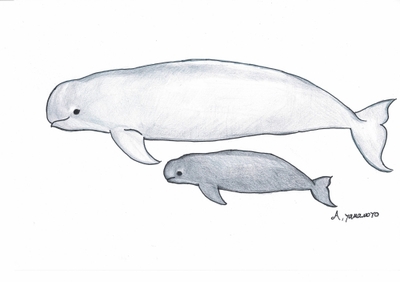 UxfFLxD38Zz2EWHVYxFg.jpg?w=940&h=940