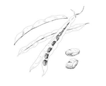 Uxnpa2zjeOqra9KO50Ug.jpg?w=940&h=940