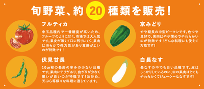 UyRkHZHOXces6aee3h2w.png?w=940&h=940